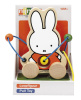 17001-8_BT_MF_CL_PULL_TOY_PRODUCT_0420V0_HR - копия