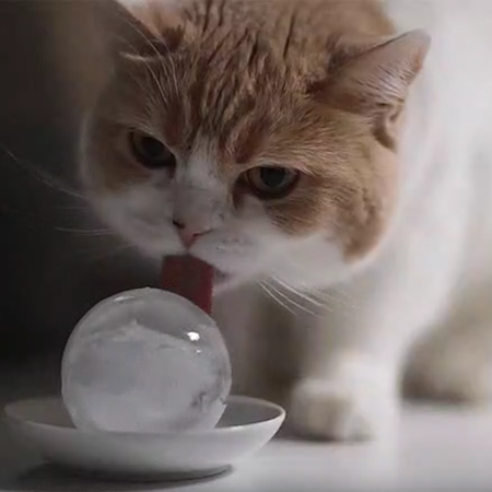 С началом осени!