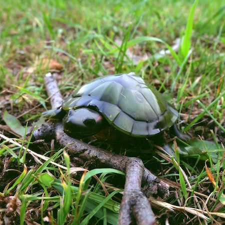 Радиоуправляемая черепаха
