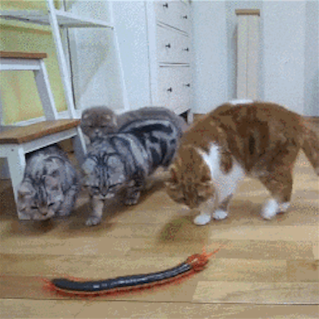 #НовостиОтПодписчиков