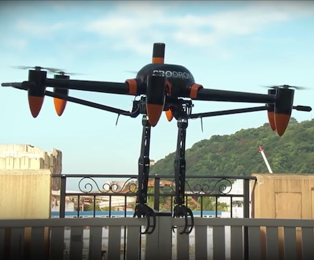 Дрон - хищник