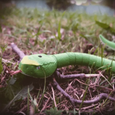 Видеообзор: змея.