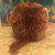 peluche-interactive-giggle-singe (2) peluche-interactive-giggle-singe (2)